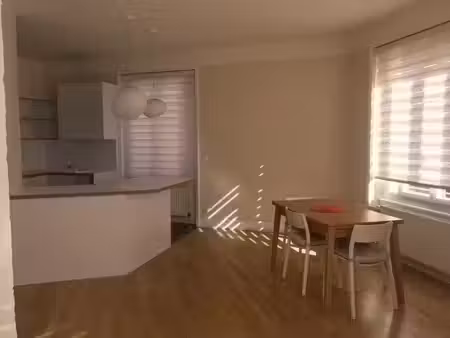 location meublée appartement 2 pièces 50 m² à lyon 7ème (69007)  1 140 €