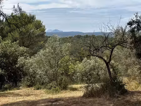 terrain a batir - 11.600m² - ponteves