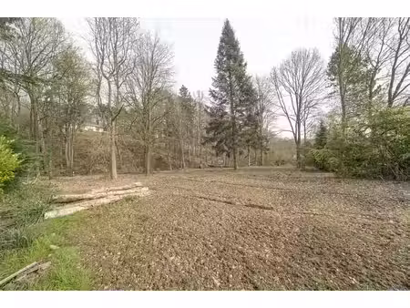 limauges/motte - terrain de fond au calme !