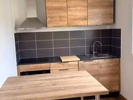 grand studio refait à neuf 28 m² avec cave et parking