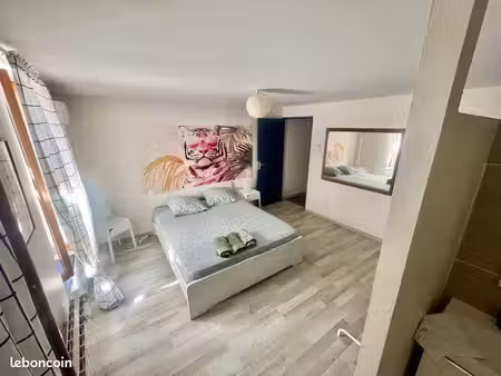 t2 moderne et chaleureux - location moyenne durée 1 à 2 mois - carcassonne