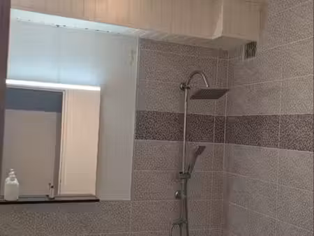 appartement t4 - 85m2 rénové et lumineux 4 pièces