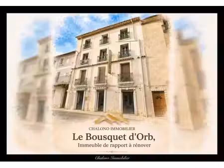 vente commerce le bousquet d orb 34260 426m²