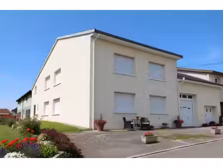 dpt vosges (88)  à vendre secteur vittel de village t7 de 324 m2 + hangar / 1500 m2 terrai