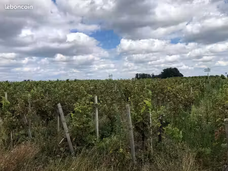 location vignes grezillac
