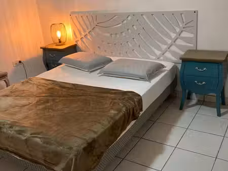 charmant t2 meublé de 47 m2