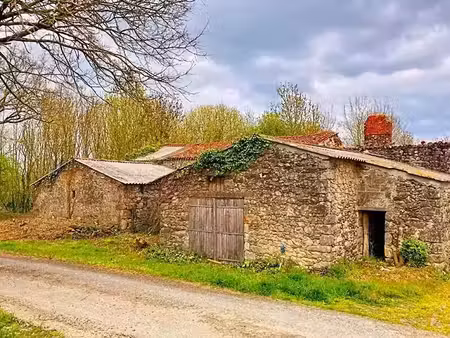vente maison 3 pièces 2018 m² à les lucs-sur-boulogne (85170)  45 000 €