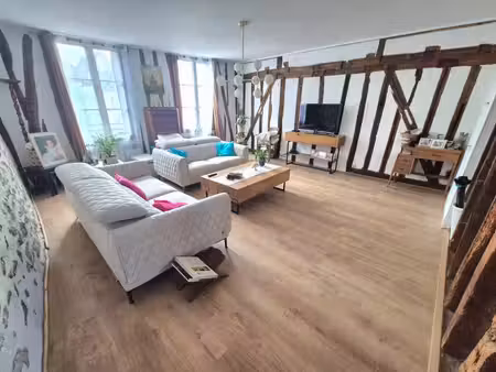 magnifique appartement de charme – centre de provins