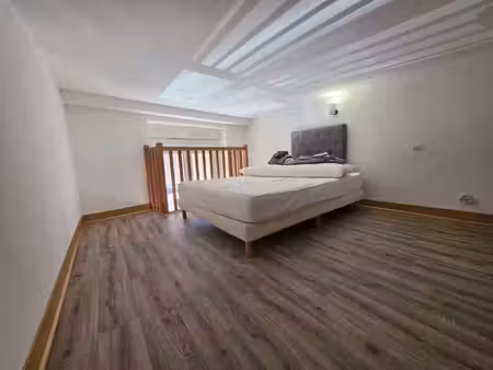 location appartement 2 pièces 50 m² à villeurbanne (69100)