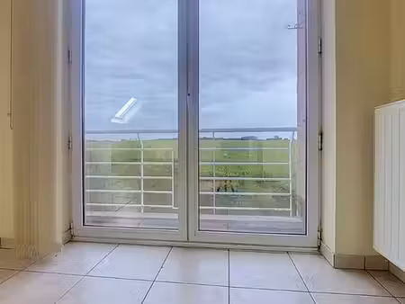 appartement 1 chambre avec balcon