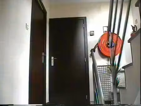 charmant appartement a louer