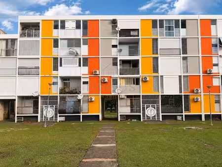 caribbean standard immobilier