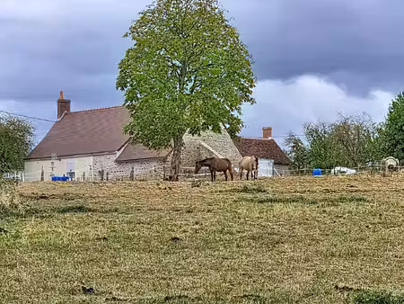 maison 4 pièces - 80 m²