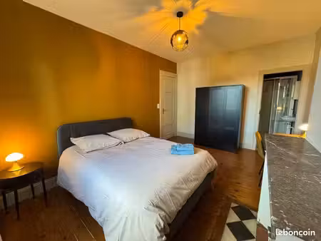 1 pièce 15m2 - quartier jardin public jayan