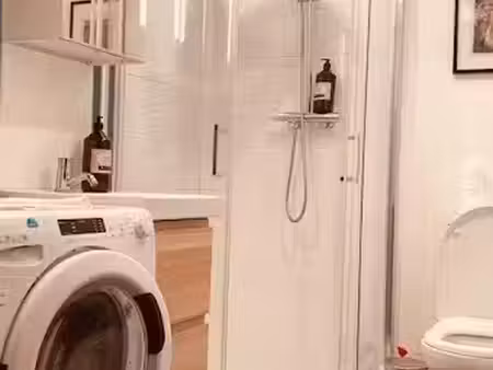 location meublée appartement 1 pièce 21 m² à nancy (54000)  590 €
