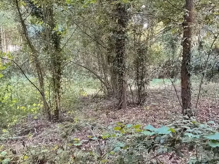 terrain de loisir les ponts de ce