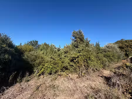 terrain constructible 676m2 plein cœur de laudun- libre constructeur