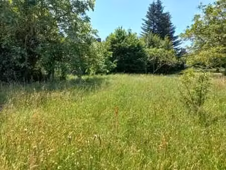 vente terrain à plouër-sur-rance (22490) : à vendre / plouër-sur-rance