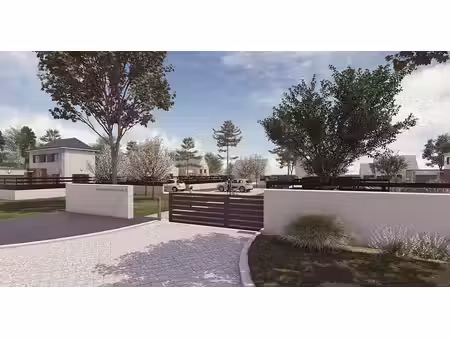 terrain