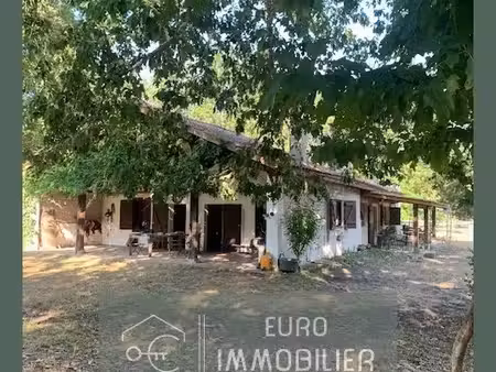 maillas - propriété landaise + maison bois - 2ha5 - landes (40