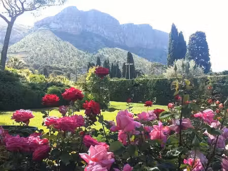 cassis (13260)