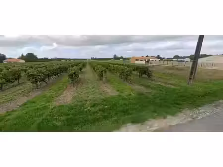 vente terrain 550 m² rouffiac (17800)