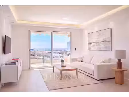 appartement 2 pièces vue mer cannes