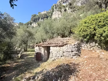 terrain agricole à gilette (06830)
