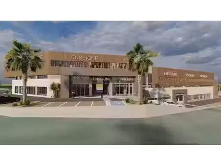 vente locaux professionnels 1 pièce 509.47 m² à les abymes (97139)  1 604 830 €