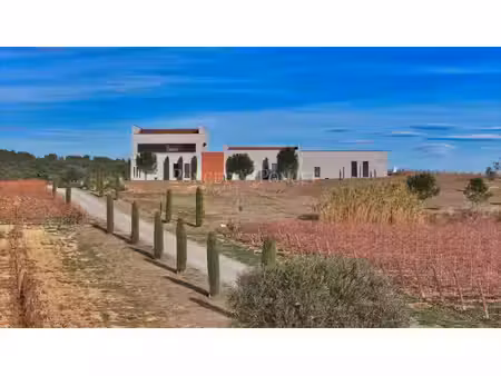 propriété viticole moderne en terrasses de larzac