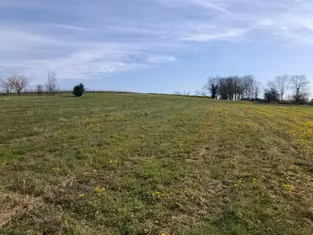 terrain à bâtir à saint-savin (33920)