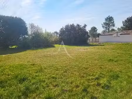 vente terrain à notre-dame-de-monts (85690) : à vendre / 772m² notre-dame-de-monts