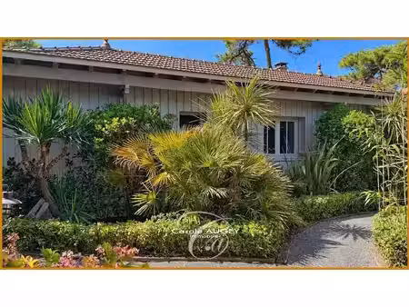 vente villa 6 pièces 148 m² à lège-cap-ferret (33950)  2 990 000 €