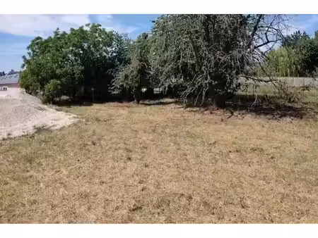 terrain