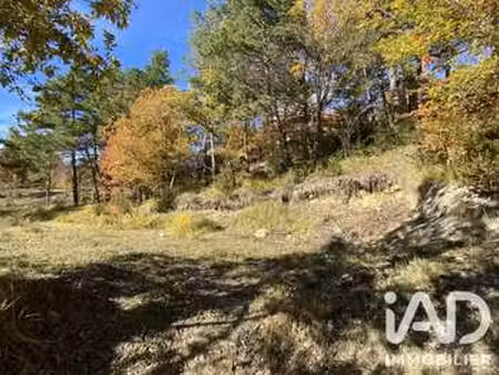 vente terrain à thorenc (06460) : à vendre / 1000m² thorenc