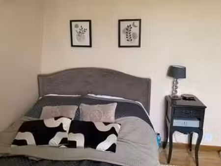 location appartement t1 meublé à saint-maur-des-fossés (94100) : à louer t1 meublé / 16m² 