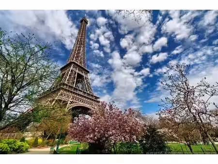 location appartement 1 pièce 17 m² à paris 15 (75015)