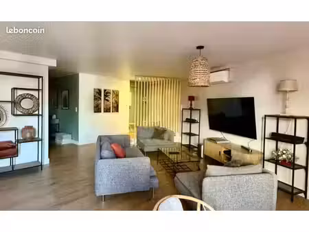 grand appartement centre ville