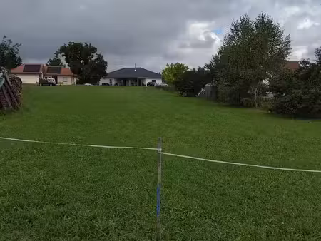 terrain constructible
