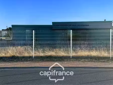 location locaux professionnels 5 pièces 525 m² à domérat (03410)  2 765 €