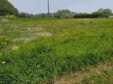 vente terrain 415 m² à cancale (35260)  185 000 €