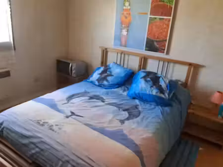 location appartement 1 pièce 16 m² à beauzelle (31700)