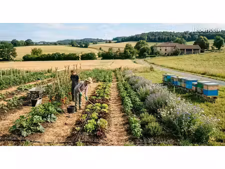 cherche terrain agricole