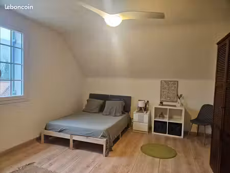 grande chambre lumineuse pour étudiant