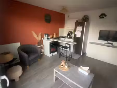 studio 29m2 + terrasse 24 m2 + place de parking