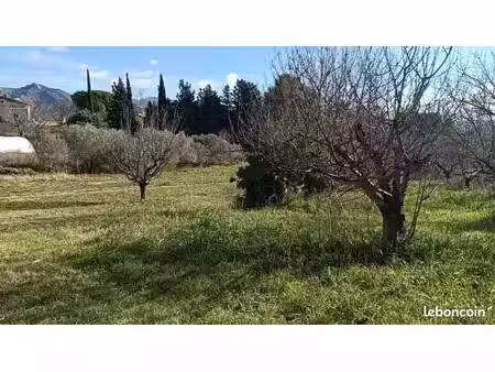 location champs pour activité agricole