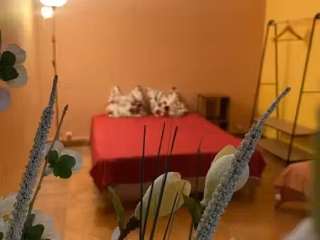 studio étudiant