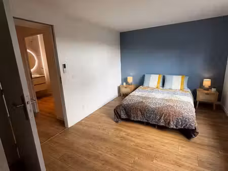 bel appartement t3  76m2 entièrement rénové – vue pyrénées  climatisation – idron