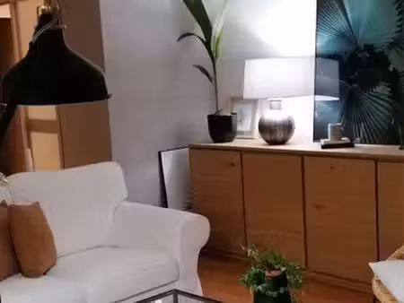 appartement meublé lumineux