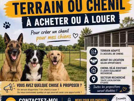 recherche terrain pour chenil
